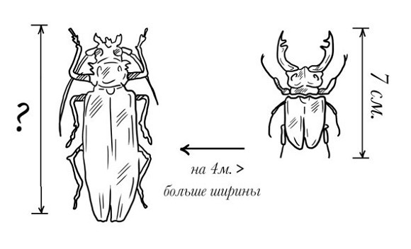 Иллюстрация к книге — 38 типов задач начальной школы и как их решать [image022temp.jpg]