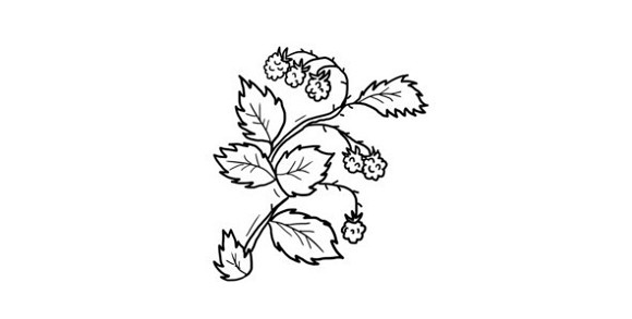 Иллюстрация к книге — 38 типов задач начальной школы и как их решать [image038temp.jpg]