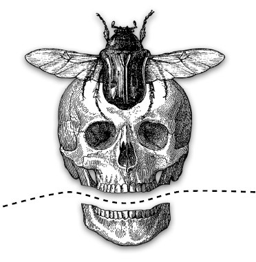 Иллюстрация к книге — Безумная медицина. Странные заболевания и не менее странные методы лечения в истории медицины [i_001.jpg]