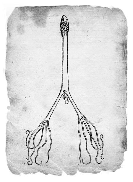 Иллюстрация к книге — Безумная медицина. Странные заболевания и не менее странные методы лечения в истории медицины [i_021.jpg]