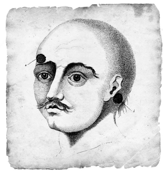 Иллюстрация к книге — Безумная медицина. Странные заболевания и не менее странные методы лечения в истории медицины [i_059.jpg]