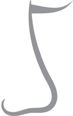 Иллюстрация к книге — В лабиринтах уха, горла и носа. Скрытые механизмы работы, неочевидные взаимосвязи и полезные знания, которые помогут «дотянуть» до визита к врачу [i_019.jpg]