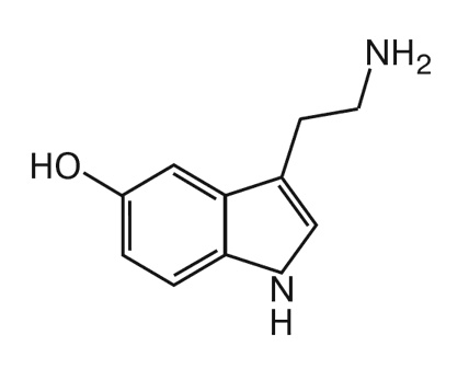 Иллюстрация к книге — Мозг. Инструкция пользователя [i_014.jpg]