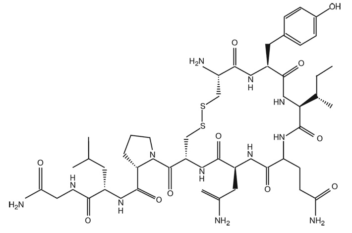 Иллюстрация к книге — Мозг. Инструкция пользователя [i_016.jpg]