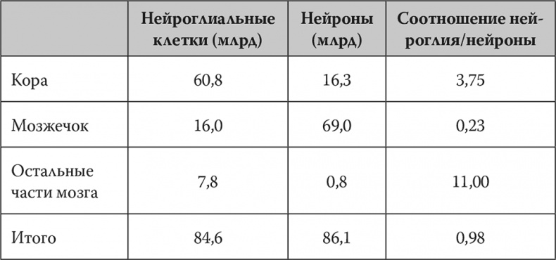 Иллюстрация к книге — Мозг. Инструкция пользователя [i_022.jpg]