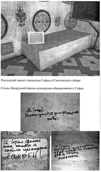 Иллюстрация к книге — Царевна Софья [i_032.jpg]