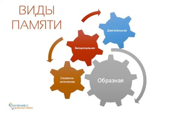 Иллюстрация к книге — Техники эффективного обучения от А до Я. Энциклопедия для родителей [image056temp.jpg]