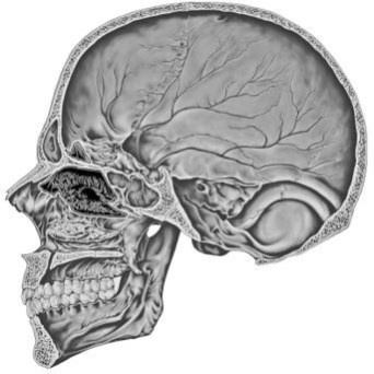 Иллюстрация к книге — Предрассудки о здоровье. Жить надо с умом и правильно [i_027.jpg]