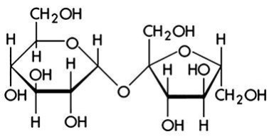 Иллюстрация к книге — Предрассудки о здоровье. Жить надо с умом и правильно [i_037.jpg]