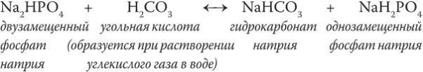 Иллюстрация к книге — Предрассудки о здоровье. Жить надо с умом и правильно [i_045.jpg]