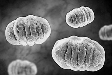 Иллюстрация к книге — Предрассудки о здоровье. Жить надо с умом и правильно [i_049.jpg]