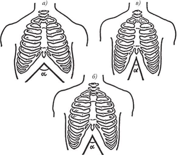 Иллюстрация к книге — Предрассудки о здоровье. Жить надо с умом и правильно [i_061.jpg]