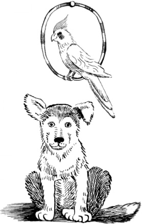 Иллюстрация к книге — Как мама была маленькой [i_020.jpg]