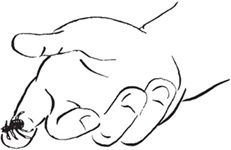 Иллюстрация к книге — Как мама была маленькой [i_031.jpg]