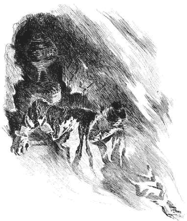 Иллюстрация к книге — Кронштадтский детектив [i_002.jpg]