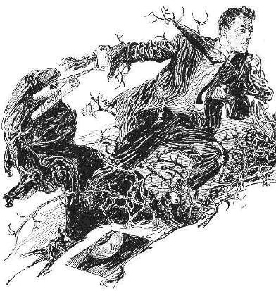 Иллюстрация к книге — Кронштадтский детектив [i_005.jpg]