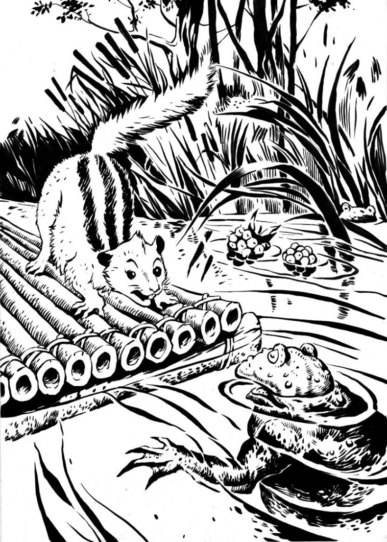 Иллюстрация к книге — Бурундучок по имени Сим. Сим – мореход  [i_002.jpg]