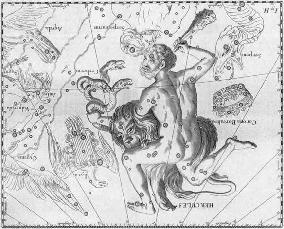 Иллюстрация к книге — Метаморфозы. Путешествие хирурга по самым прекрасным и ужасным изменениям человеческого тела [i_005.jpg]