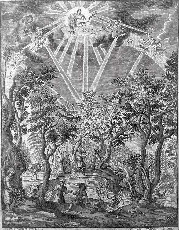 Иллюстрация к книге — Метаморфозы. Путешествие хирурга по самым прекрасным и ужасным изменениям человеческого тела [i_014.jpg]