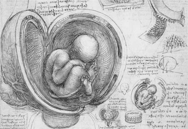 Иллюстрация к книге — Метаморфозы. Путешествие хирурга по самым прекрасным и ужасным изменениям человеческого тела [i_019.jpg]