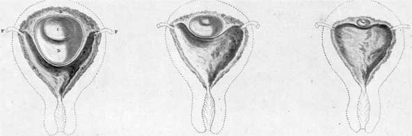 Иллюстрация к книге — Метаморфозы. Путешествие хирурга по самым прекрасным и ужасным изменениям человеческого тела [i_022.jpg]