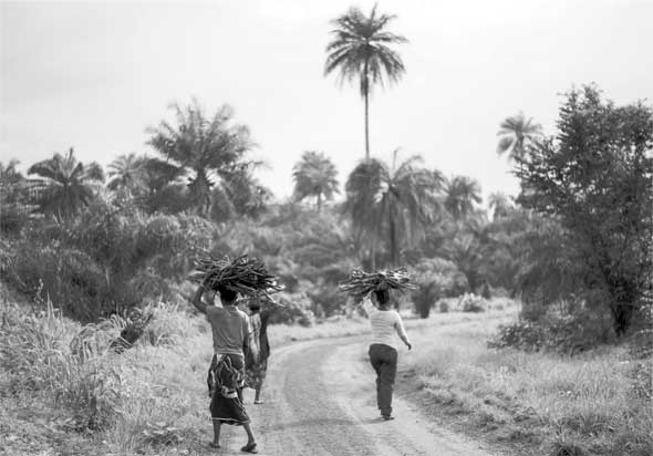 Иллюстрация к книге — Метаморфозы. Путешествие хирурга по самым прекрасным и ужасным изменениям человеческого тела [i_026.jpg]