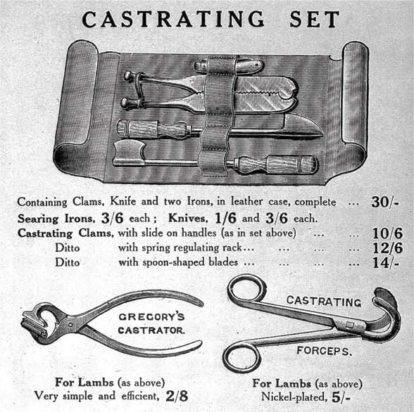 Иллюстрация к книге — Метаморфозы. Путешествие хирурга по самым прекрасным и ужасным изменениям человеческого тела [i_027.jpg]