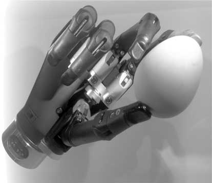 Иллюстрация к книге — Метаморфозы. Путешествие хирурга по самым прекрасным и ужасным изменениям человеческого тела [i_030.jpg]