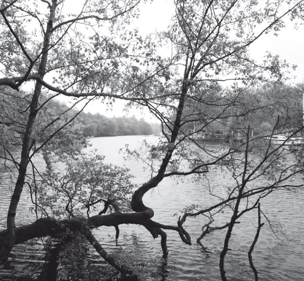 Иллюстрация к книге — Дом на хвосте паровоза. Путеводитель по Европе в сказках Андерсена [i_069.jpg]