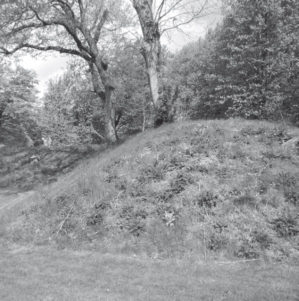 Иллюстрация к книге — Дом на хвосте паровоза. Путеводитель по Европе в сказках Андерсена [i_116.jpg]