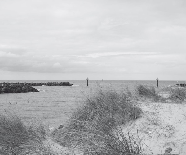 Иллюстрация к книге — Дом на хвосте паровоза. Путеводитель по Европе в сказках Андерсена [i_118.jpg]