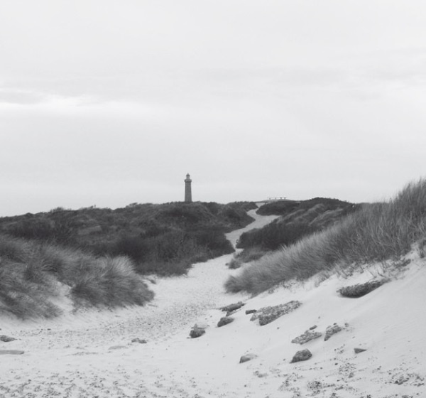 Иллюстрация к книге — Дом на хвосте паровоза. Путеводитель по Европе в сказках Андерсена [i_124.jpg]