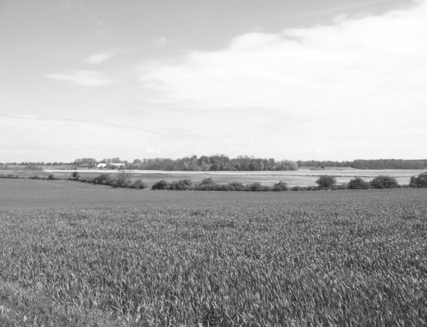 Иллюстрация к книге — Дом на хвосте паровоза. Путеводитель по Европе в сказках Андерсена [i_128.jpg]