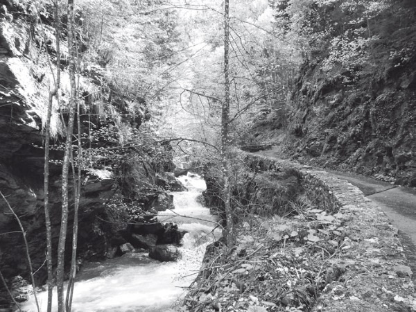 Иллюстрация к книге — Дом на хвосте паровоза. Путеводитель по Европе в сказках Андерсена [i_152.jpg]