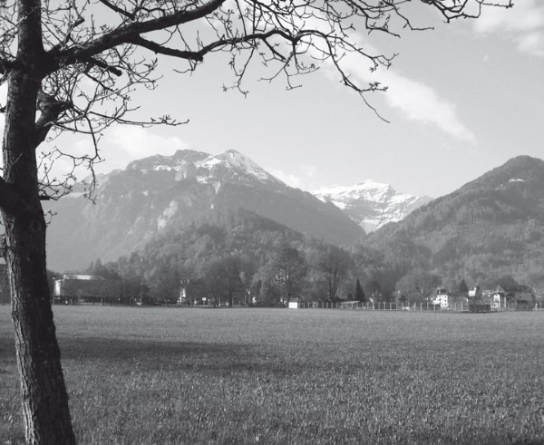 Иллюстрация к книге — Дом на хвосте паровоза. Путеводитель по Европе в сказках Андерсена [i_158.jpg]