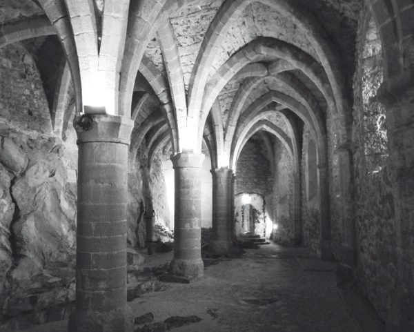 Иллюстрация к книге — Дом на хвосте паровоза. Путеводитель по Европе в сказках Андерсена [i_167.jpg]