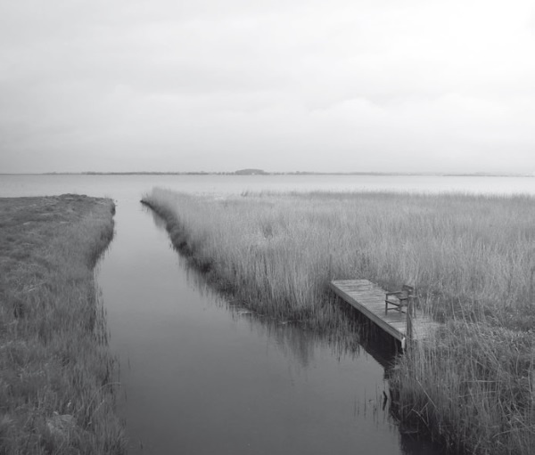 Иллюстрация к книге — Дом на хвосте паровоза. Путеводитель по Европе в сказках Андерсена [i_185.jpg]