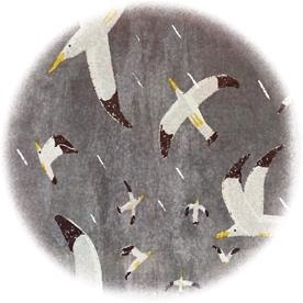 Иллюстрация к книге — Любовь к несовершенству [i_040.jpg]