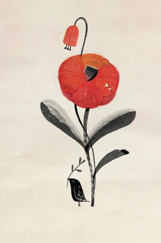 Иллюстрация к книге — Любовь к несовершенству [i_065.jpg]