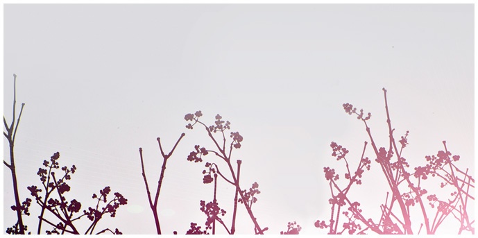 Иллюстрация к книге — Что такое лагом (Шведские рецепты счастливой жизни) [_286.jpg]