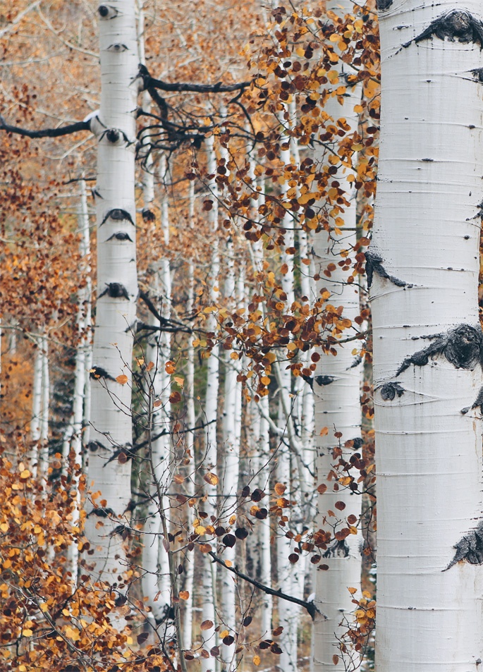 Иллюстрация к книге — Что такое лагом (Шведские рецепты счастливой жизни) [i_002.jpg]