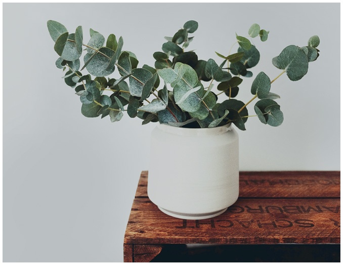 Иллюстрация к книге — Что такое лагом (Шведские рецепты счастливой жизни) [i_007.jpg]