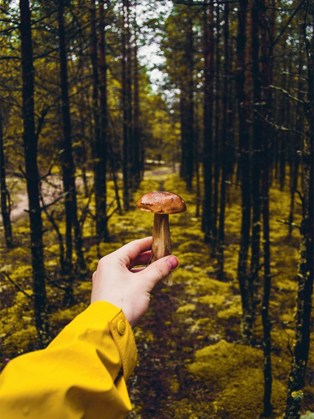 Иллюстрация к книге — Что такое лагом (Шведские рецепты счастливой жизни) [i_038.jpg]