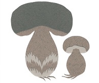 Иллюстрация к книге — Что такое лагом (Шведские рецепты счастливой жизни) [i_041.jpg]