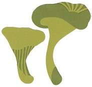 Иллюстрация к книге — Что такое лагом (Шведские рецепты счастливой жизни) [i_042.jpg]