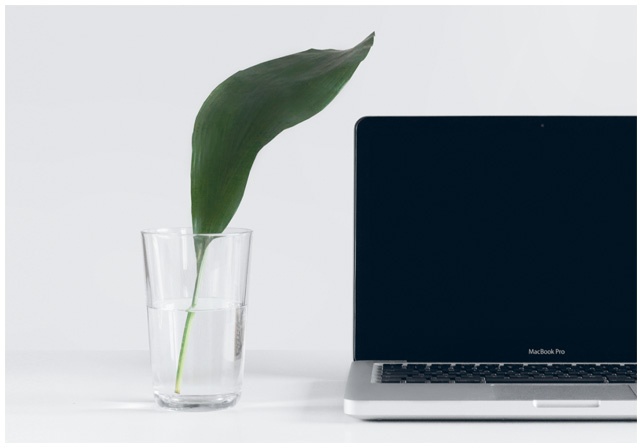 Иллюстрация к книге — Что такое лагом (Шведские рецепты счастливой жизни) [i_056.jpg]