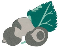 Иллюстрация к книге — Что такое лагом (Шведские рецепты счастливой жизни) [i_062.jpg]