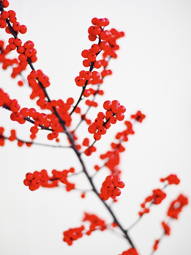 Иллюстрация к книге — Что такое лагом (Шведские рецепты счастливой жизни) [i_098.jpg]