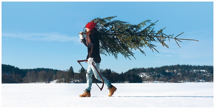 Иллюстрация к книге — Что такое лагом (Шведские рецепты счастливой жизни) [i_108.jpg]