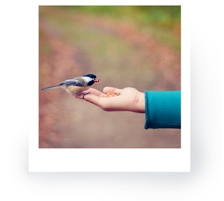 Иллюстрация к книге — Что такое лагом (Шведские рецепты счастливой жизни) [i_123.jpg]